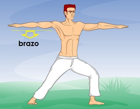 ilustracion de brazo