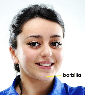 ilustracion de barbilla