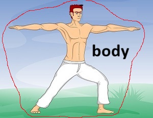 ilustracion de cuerpo