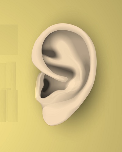 ilustracion de oreja
