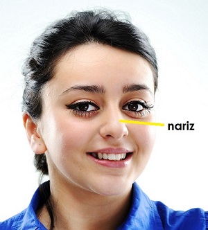 ilustracion de nariz