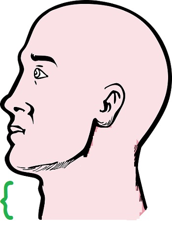 ilustracion de cuello