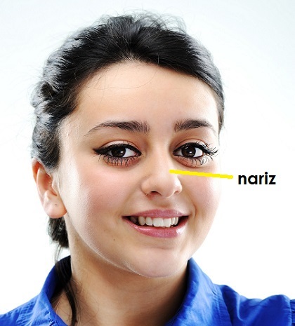 ilustracion de nariz