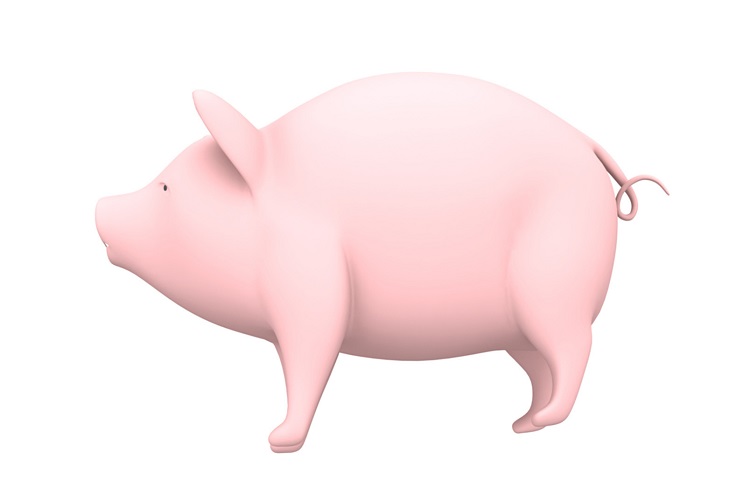 ilustracion de cerdo